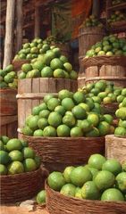 Nigerian grade Oranges – product photo 1, product detail gallery